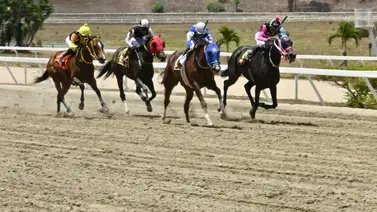 Lo que necesitas saber sobre el ajuste clave de la línea de Gaceta Hípica para el 5y6 de la R15 Lo que necesitas saber sobre el ajuste clave de la línea de Gaceta Hípica para el 5y6 de la R15