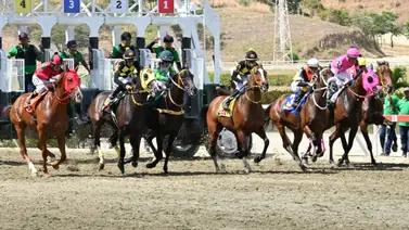 Así quedó el ajuste estratégico de la gran opción de Gaceta Hípica para el juego del 5y6 dominical Así quedó el ajuste estratégico de la gran opción de Gaceta Hípica para el juego del 5y6 dominical