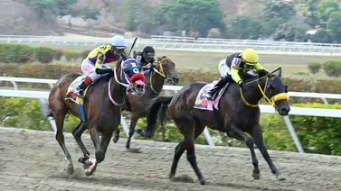 Lo que todos esperan: Conozcan el ajuste imbatible de la sorpresa de Gaceta Hípica para la R15 en La Rinconada Lo que todos esperan: Conozcan el ajuste imbatible de la sorpresa de Gaceta Hípica para la R15 en La Rinconada