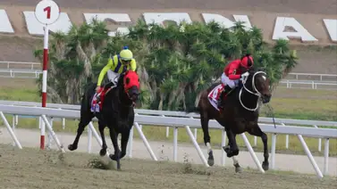 Descubre ahora mismo a los ejemplares con más fuerzas y que deslumbrarán en La Rinconada Descubre ahora mismo a los ejemplares con más fuerzas y que deslumbrarán en La Rinconada