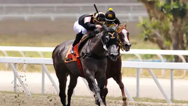 A esta hora conoce el dato más corrido que podría hacerte ganar el 5y6 Nacional A esta hora conoce el dato más corrido que podría hacerte ganar el 5y6 Nacional