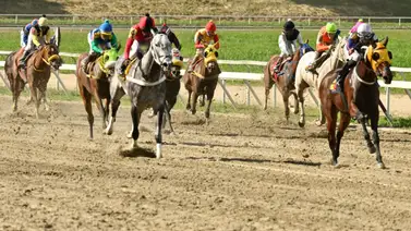 Estén muy atentos con esta yegua que da por video y es una de las favoritas para ganar el 5y6 dominical Estén muy atentos con esta yegua que da por video y es una de las favoritas para ganar el 5y6 dominical