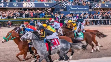 Datos de última hora que incluye el Best Best y los Picks para la jornada en Gulfstream Park y Aqueduct 24-4-2025 Datos de última hora que incluye el Best Best y los Picks para la jornada en Gulfstream Park y Aqueduct 24-4-2025