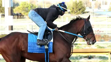 Esta pareja de Steve Asmussen quedó lista para las Rosas Esta pareja de Steve Asmussen quedó lista para las Rosas