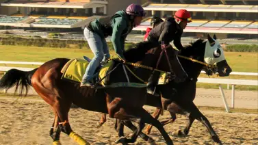 Este ejemplar logró un remate espectacular antes de su debut prometedor en la R15 de La Rinconada Este ejemplar logró un remate espectacular antes de su debut prometedor en la R15 de La Rinconada