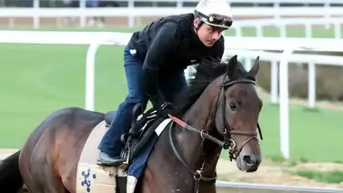 Flying Mohawk está llamado a ser la sorpresa para el Kentucky Derby Flying Mohawk está llamado a ser la sorpresa para el Kentucky Derby