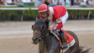 Este fue el ejercicio de multiganador de graded Burnham Square para las Rosas Este fue el ejercicio de multiganador de graded Burnham Square para las Rosas