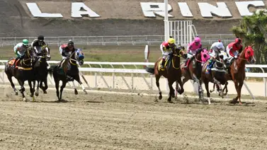 Conoce a la yegua que se destacó con uno de los mejores ajustes para la R15 en La Rinconada Conoce a la yegua que se destacó con uno de los mejores ajustes para la R15 en La Rinconada