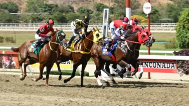 Mira este dato curioso de un importante Stud que por primera vez sucederá en la R15 de La Rinconada