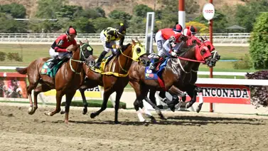 Mira este dato curioso de un importante Stud que por primera vez sucederá en la R15 de La Rinconada Mira este dato curioso de un importante Stud que por primera vez sucederá en la R15 de La Rinconada