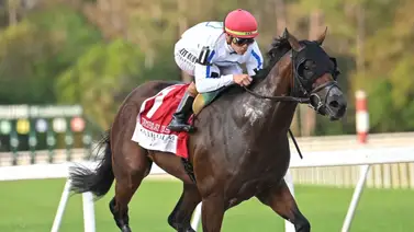 Así trabajó la monta de Javier Castellano para el Kentucky Derby Así trabajó la monta de Javier Castellano para el Kentucky Derby