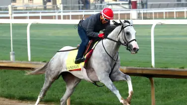 El hijo de Tapit de un 1 millón 200 mil dólares acaparan toda la atención para el Derby luego de su trabajo El hijo de Tapit de un 1 millón 200 mil dólares acaparan toda la atención para el Derby luego de su trabajo