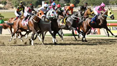 Tres productos de la legendaria matrona Pine Shelter corren este fin de semana en la pista de Valencia y La Rinconada Tres productos de la legendaria matrona Pine Shelter corren este fin de semana en la pista de Valencia y La Rinconada