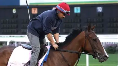 Quickick surge como potencial batacazo para la Kentucky Oaks luego de su gran ejercicio Quickick surge como potencial batacazo para la Kentucky Oaks luego de su gran ejercicio