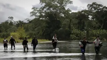 selva del Darién abril 2025 selva del Darién abril 2025