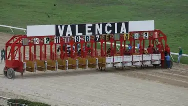 Estos son los retirados para la reunión 8 en Valencia 26-4-2025 Estos son los retirados para la reunión 8 en Valencia 26-4-2025