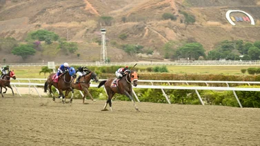 Datos de última hora para el Hipódromo Internacional La Rinconada 27-4-2025