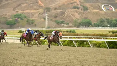 Datos de última hora para el Hipódromo Internacional La Rinconada 27-4-2025 Datos de última hora para el Hipódromo Internacional La Rinconada 27-4-2025