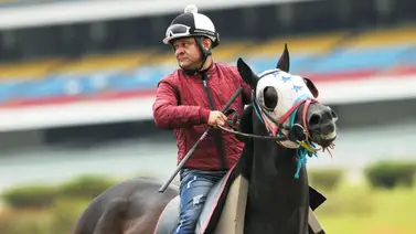 Álvaro Finol comenta sobre sus tres compromisos de montas para el domingo Álvaro Finol comenta sobre sus tres compromisos de montas para el domingo