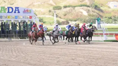 Los tickets con 6 aciertos cobran casi $500 en La Rinconada de este domingo 27-4-2025 Los tickets con 6 aciertos cobran casi $500 en La Rinconada de este domingo 27-4-2025