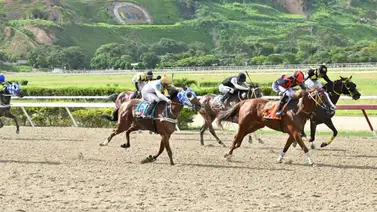 Entrenador busca respuestas y denuncia al jinete de una gran favorita en La Rinconada Entrenador busca respuestas y denuncia al jinete de una gran favorita en La Rinconada