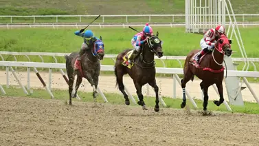 Tras la reunión 15: Autoridades hípicas anuncian sanciones para tres jinetes Tras la reunión 15: Autoridades hípicas anuncian sanciones para tres jinetes