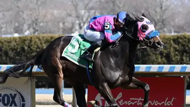 Jinete zuliano proyecta 300 victorias en el año tras alcanzar 11 triunfos durante la semana Jinete zuliano proyecta 300 victorias en el año tras alcanzar 11 triunfos durante la semana