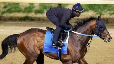 KentuckyDerby: Conozca la hazaña que puede romper Irad Ortiz Jr. si gana el Kentucky Derby que tiene casi 100 años KentuckyDerby: Conozca la hazaña que puede romper Irad Ortiz Jr. si gana el Kentucky Derby que tiene casi 100 años
