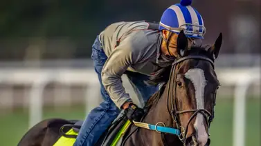 KentuckyDerby: Burnham Square por segunda vez voló en su ajuste final KentuckyDerby: Burnham Square por segunda vez voló en su ajuste final