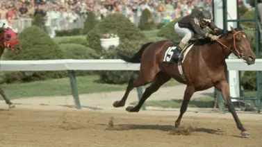 Kentucky Derby: Los ejemplares más económicos que han logrado ganar el Derby de Kentucky Kentucky Derby: Los ejemplares más económicos que han logrado ganar el Derby de Kentucky
