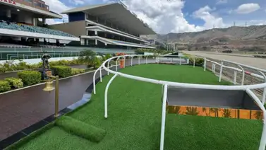 De la exigencia americana a la leyenda venezolana: un caballo figurador llega a La Rinconada con hambre de historia De la exigencia americana a la leyenda venezolana: un caballo figurador llega a La Rinconada con hambre de historia