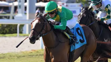 Emisael Jaramillo se adjudicó tremendo stakes en Gulfstream Park Emisael Jaramillo se adjudicó tremendo stakes en Gulfstream Park