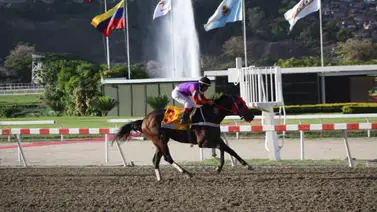 Hijo del doble coronado Quick Mani está listo para retornar a la pista luego de 273 días sin correr Hijo del doble coronado Quick Mani está listo para retornar a la pista luego de 273 días sin correr