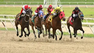 ¡El esperado retorno! La yegua que doblegó a la selectiva Striding Moon vuelve a la arena de Coche tras un largo receso ¡El esperado retorno! La yegua que doblegó a la selectiva Striding Moon vuelve a la arena de Coche tras un largo receso