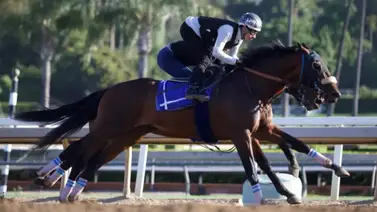 Kentucky Derby: Ahora sí Rodríguez ajustó clavo para este sábado en Churchill Downs Kentucky Derby: Ahora sí Rodríguez ajustó clavo para este sábado en Churchill Downs