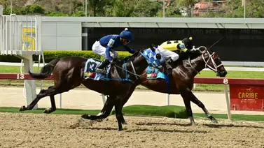 ¡Ojo pelao con este! Tras 378 días de inactividad, regresa a la pista uno de los fijos que prometerá agitar el 5y6 ¡Ojo pelao con este! Tras 378 días de inactividad, regresa a la pista uno de los fijos que prometerá agitar el 5y6