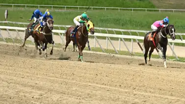 ¡Atención lectores! Un ganador con racha de tres victorias consecutivas, vuelve a la pista tras 147 días ¡Atención lectores! Un ganador con racha de tres victorias consecutivas, vuelve a la pista tras 147 días