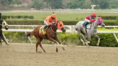 ¡Alerta en La Rinconada! Yegua ganadora regresa tras larga ausencia y amenaza con repetir la dosis ¡Alerta en La Rinconada! Yegua ganadora regresa tras larga ausencia y amenaza con repetir la dosis