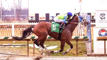 Triplete para jinetes venezolanos el domingo en este hipódromo Triplete para jinetes venezolanos el domingo en este hipódromo
