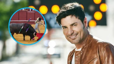 La insólita petición de la PETA a Chayanne por su tema “Torero”