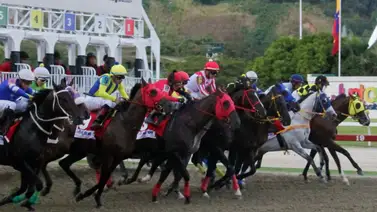 Detrás de la velocidad: Descubre a los entrenadores que prepararán a las yeguas chilenas para conquistar La Rinconada Detrás de la velocidad: Descubre a los entrenadores que prepararán a las yeguas chilenas para conquistar La Rinconada