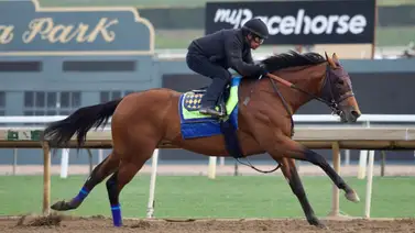 Kentucky Derby: El campeón dosañero está de regreso para validar su título Kentucky Derby: El campeón dosañero está de regreso para validar su título
