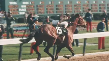 Kentucky Derby: ¡Pendientes! Estos son los puestos de partida que tienen más de 30 años sin ganar el Kentucky Derby Kentucky Derby: ¡Pendientes! Estos son los puestos de partida que tienen más de 30 años sin ganar el Kentucky Derby