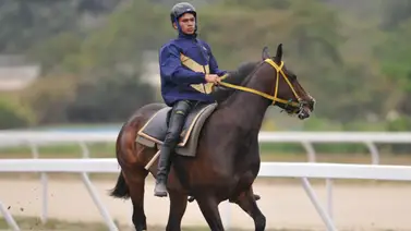 Conoce el ejemplar que para Yamper González será difícil de derrotar en La Rinconada (+Video) Conoce el ejemplar que para Yamper González será difícil de derrotar en La Rinconada (+Video)