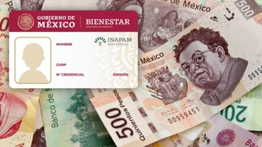Mexico tarjeta INAPAM