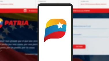 Sistema Patria