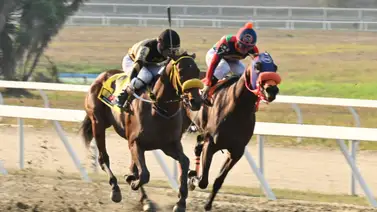 Conoce el ajuste de la línea de Gaceta Hípica para la reunión 16 en La Rinconada y maximiza tus oportunidades Conoce el ajuste de la línea de Gaceta Hípica para la reunión 16 en La Rinconada y maximiza tus oportunidades