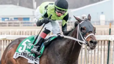 ¿Negligencia o estilo de correr? Mira las últimas cinco carreras de Bailout Billy con Eliseo Ruiz en Parx Racing ¿Negligencia o estilo de correr? Mira las últimas cinco carreras de Bailout Billy con Eliseo Ruiz en Parx Racing