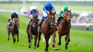 ¡Insólito! El mejor entrenador del mundo se queda afuera del primero de la Triple Corona por un error informático ¡Insólito! El mejor entrenador del mundo se queda afuera del primero de la Triple Corona por un error informático