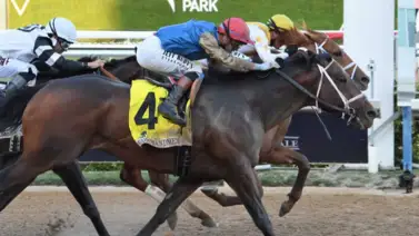 Commandment podría ser el quinto ganador del Kentucky Derby (G1) en repetir esta hazaña Commandment podría ser el quinto ganador del Kentucky Derby (G1) en repetir esta hazaña
